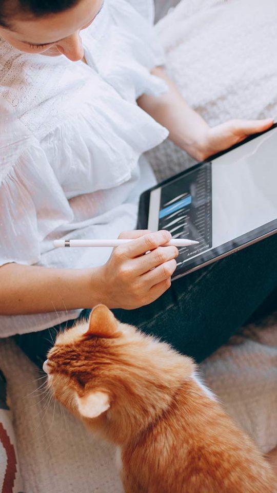 Lady with a cat on a sofa using a tablet