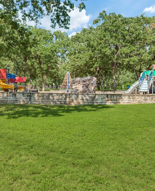 Picture of a green park with children's playground equipment on it